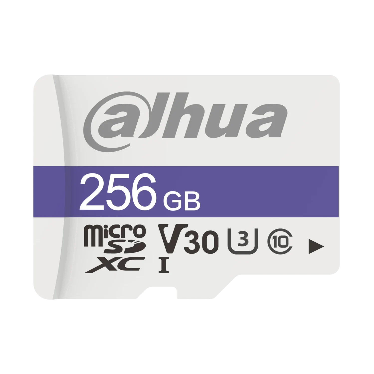Memoria Micro SD Dahua para Cámaras seguridad SSTT - TF-C100A-256GB